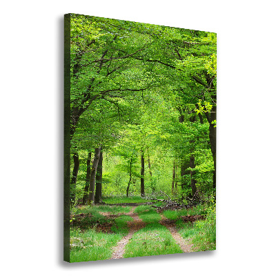 Tablou canvas Pădure verde