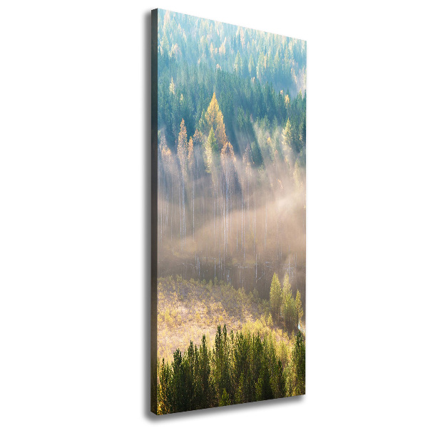 Tablou canvas Ceață peste pădure