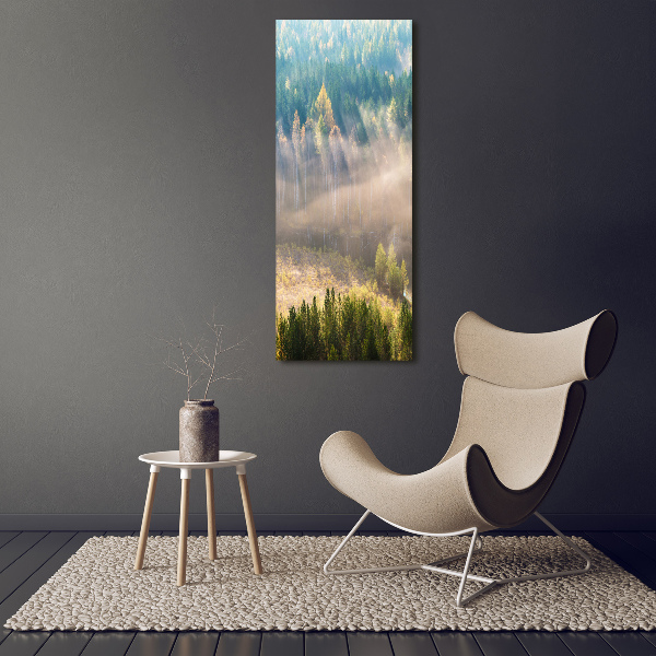 Tablou canvas Ceață peste pădure