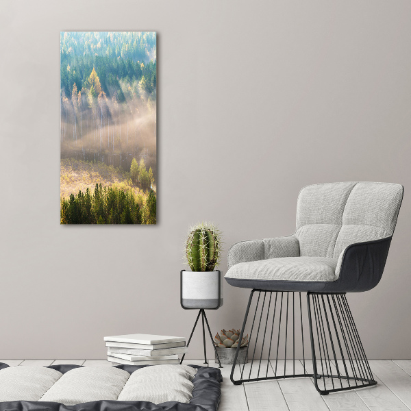 Tablou canvas Ceață peste pădure
