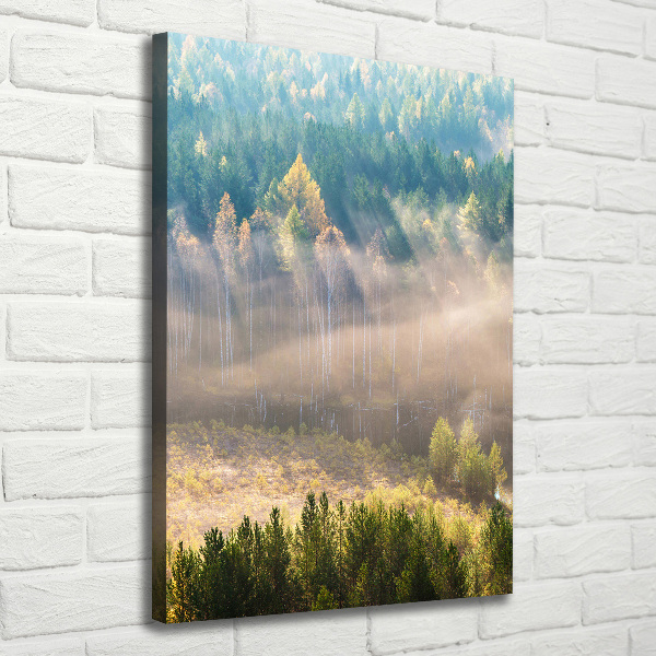 Tablou canvas Ceață peste pădure