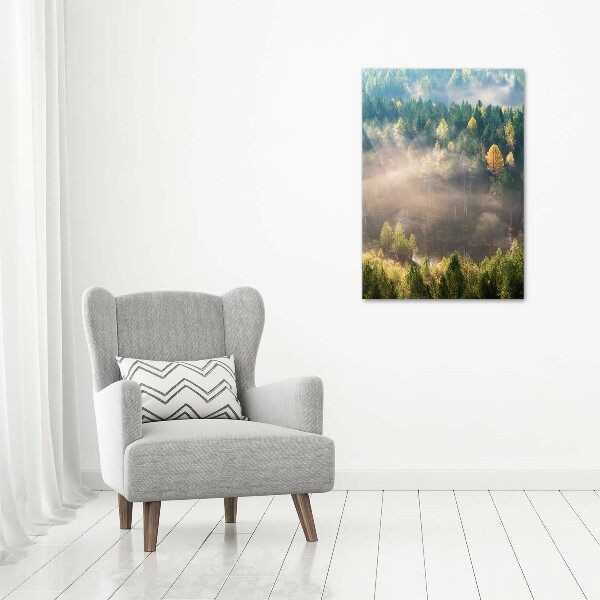 Tablou canvas Ceață peste pădure