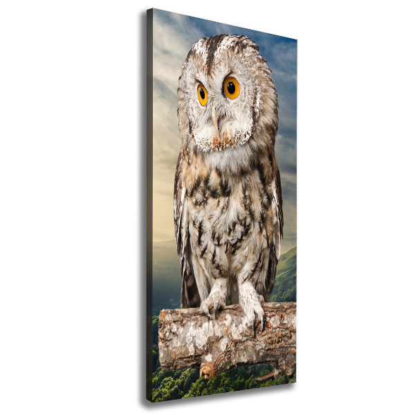 Tablou canvas Owl pe deal