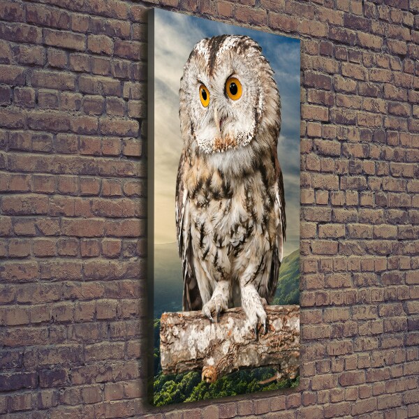 Tablou canvas Owl pe deal