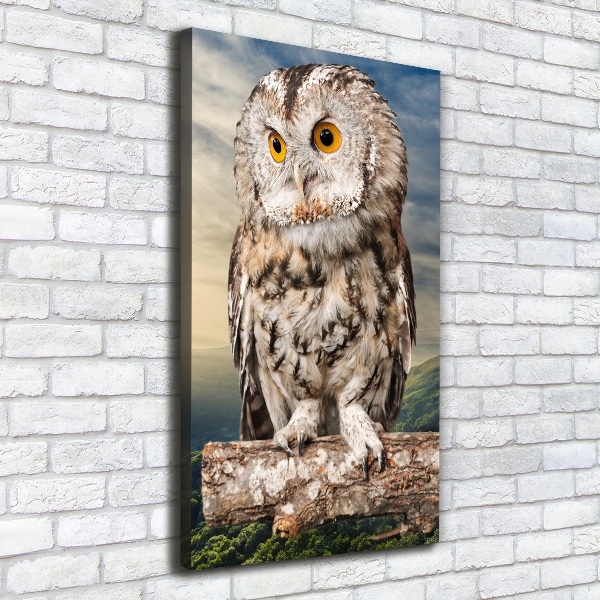 Tablou canvas Owl pe deal