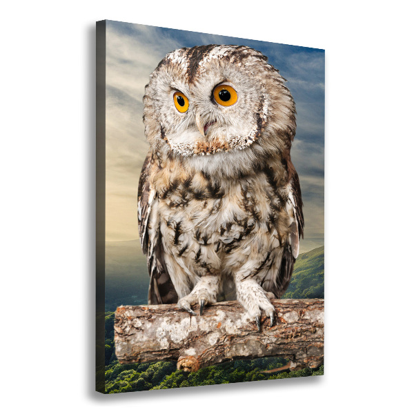 Tablou canvas Owl pe deal