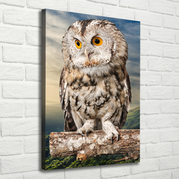 Tablou canvas Owl pe deal