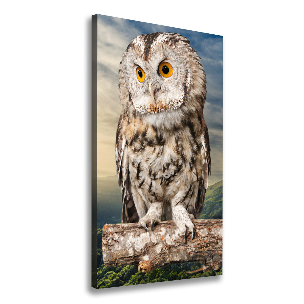 Tablou canvas Owl pe deal