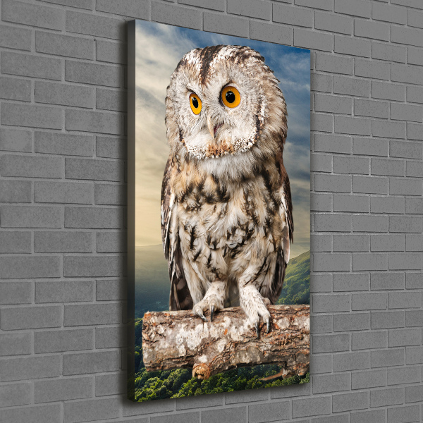 Tablou canvas Owl pe deal