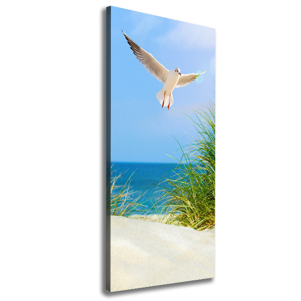 Tablou canvas Seagull peste dune