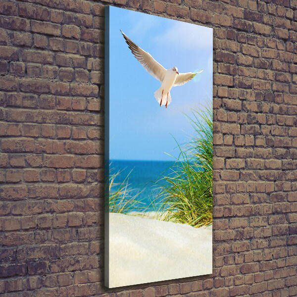 Tablou canvas Seagull peste dune