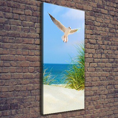 Tablou canvas Seagull peste dune