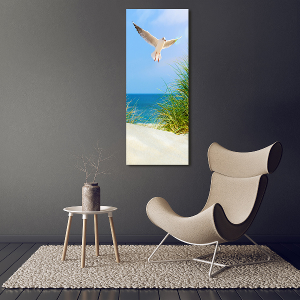 Tablou canvas Seagull peste dune