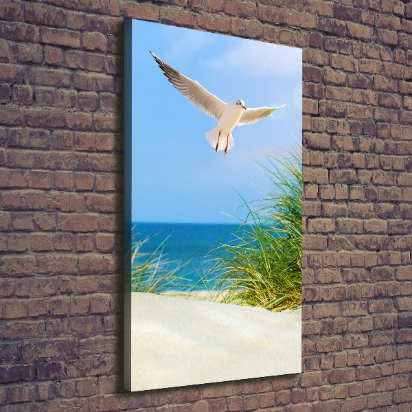 Tablou canvas Seagull peste dune