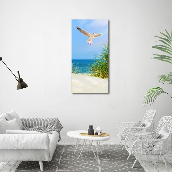 Tablou canvas Seagull peste dune