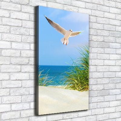 Tablou canvas Seagull peste dune