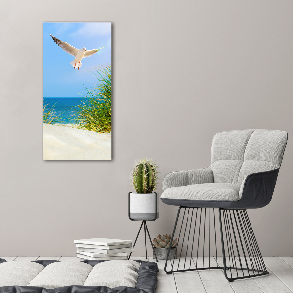 Tablou canvas Seagull peste dune