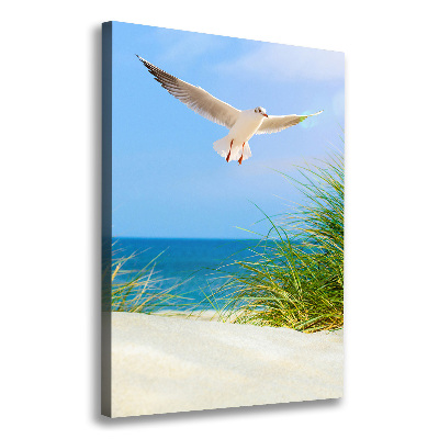 Tablou canvas Seagull peste dune