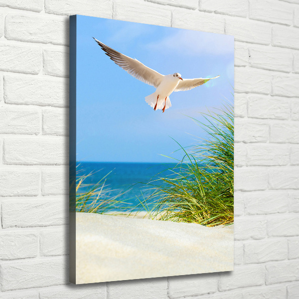 Tablou canvas Seagull peste dune