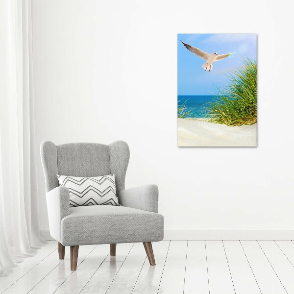 Tablou canvas Seagull peste dune