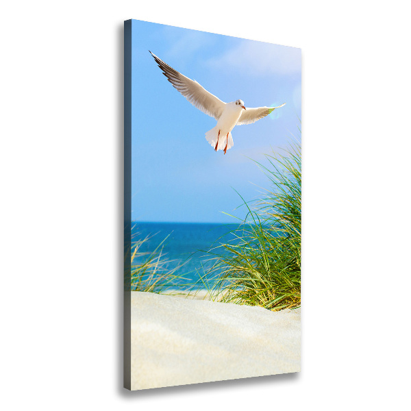 Tablou canvas Seagull peste dune