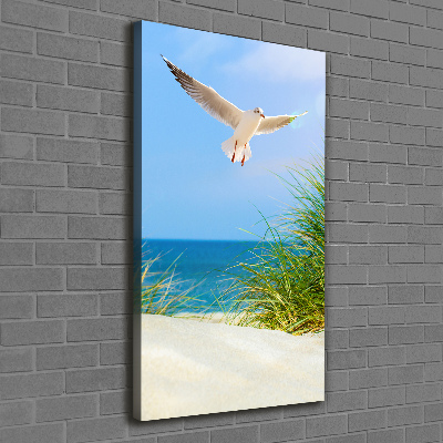 Tablou canvas Seagull peste dune