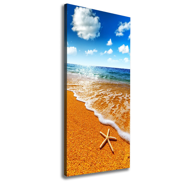 Print pe canvas Starfish pe plajă