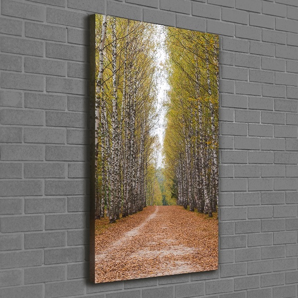 Print pe canvas pădurea de mesteacăn