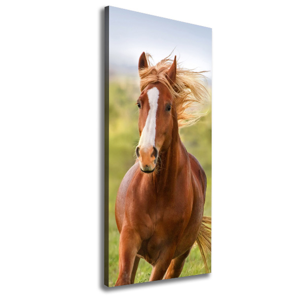 Imprimare tablou canvas Un cal în galop