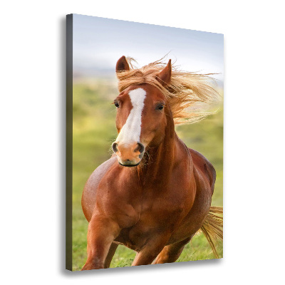Imprimare tablou canvas Un cal în galop