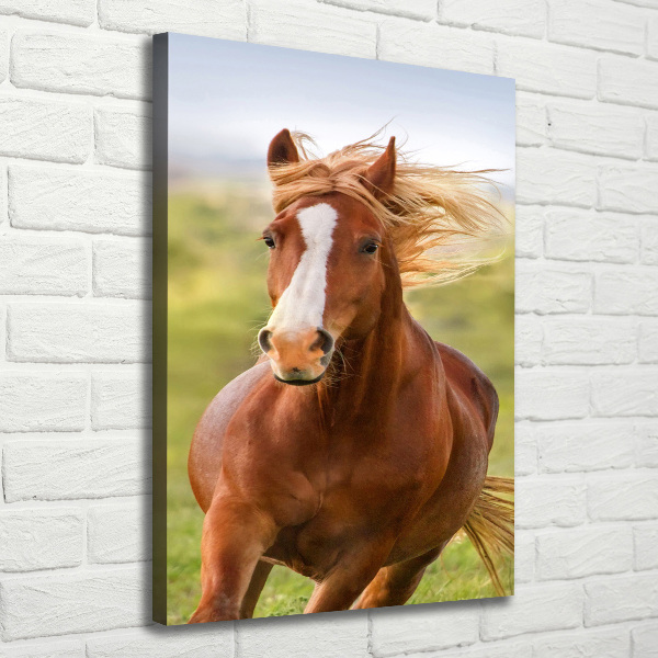 Imprimare tablou canvas Un cal în galop