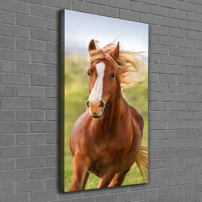 Imprimare tablou canvas Un cal în galop