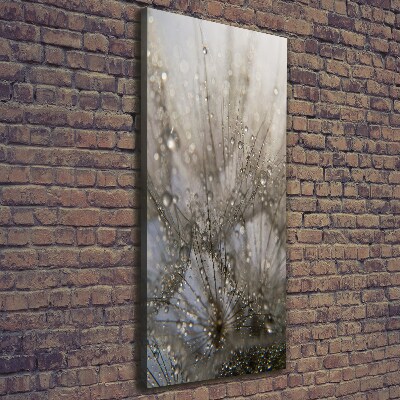 Print pe pânză semințe de papadie