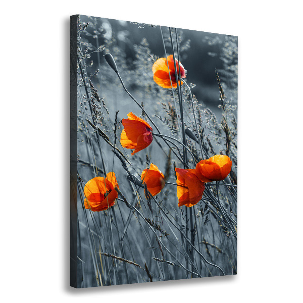 Imprimare tablou canvas wildflowers maci