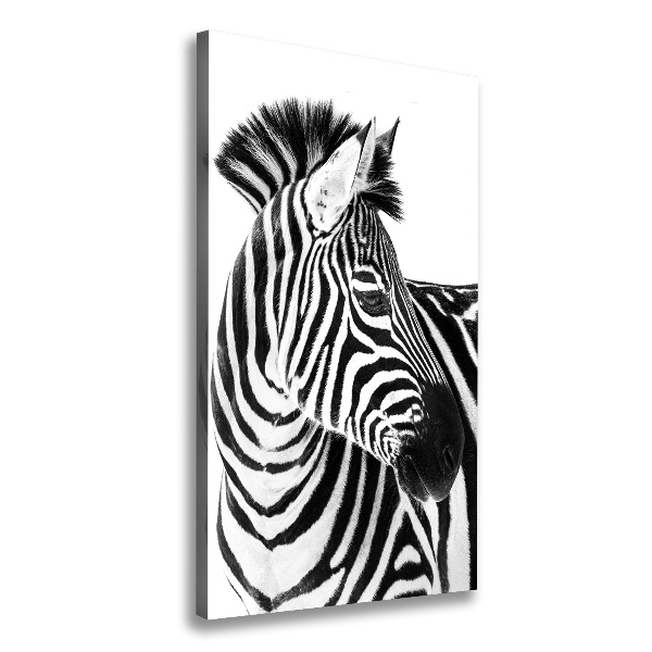 Tablou pe pânză canvas Zebra în zăpadă