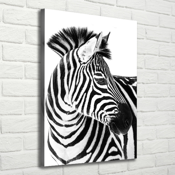 Tablou pe pânză canvas Zebra în zăpadă