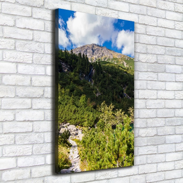 Tablou pe pânză canvas Marine ochi Tatry