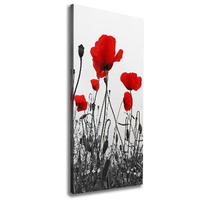 Tablou canvas wildflowers maci