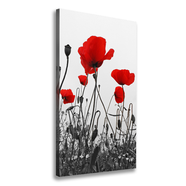 Tablou canvas wildflowers maci