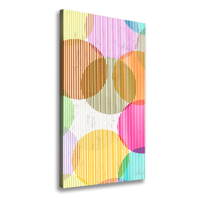 Tablou pe pânză canvas cercuri colorate