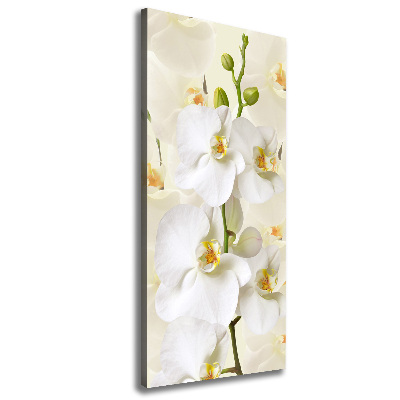 Pictură pe pânză alb orhidee