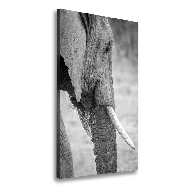 Imprimare tablou canvas elefant