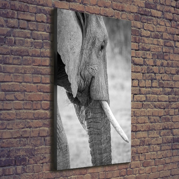 Imprimare tablou canvas elefant