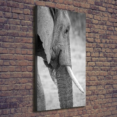 Imprimare tablou canvas elefant