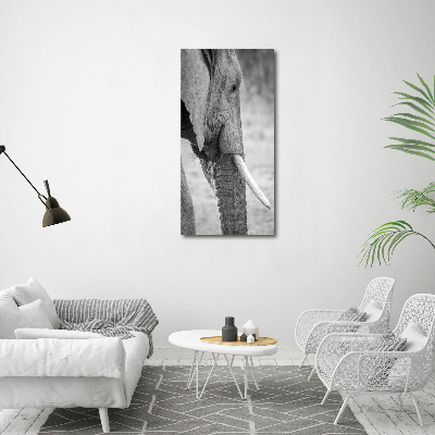 Imprimare tablou canvas elefant