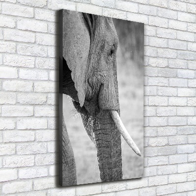 Imprimare tablou canvas elefant