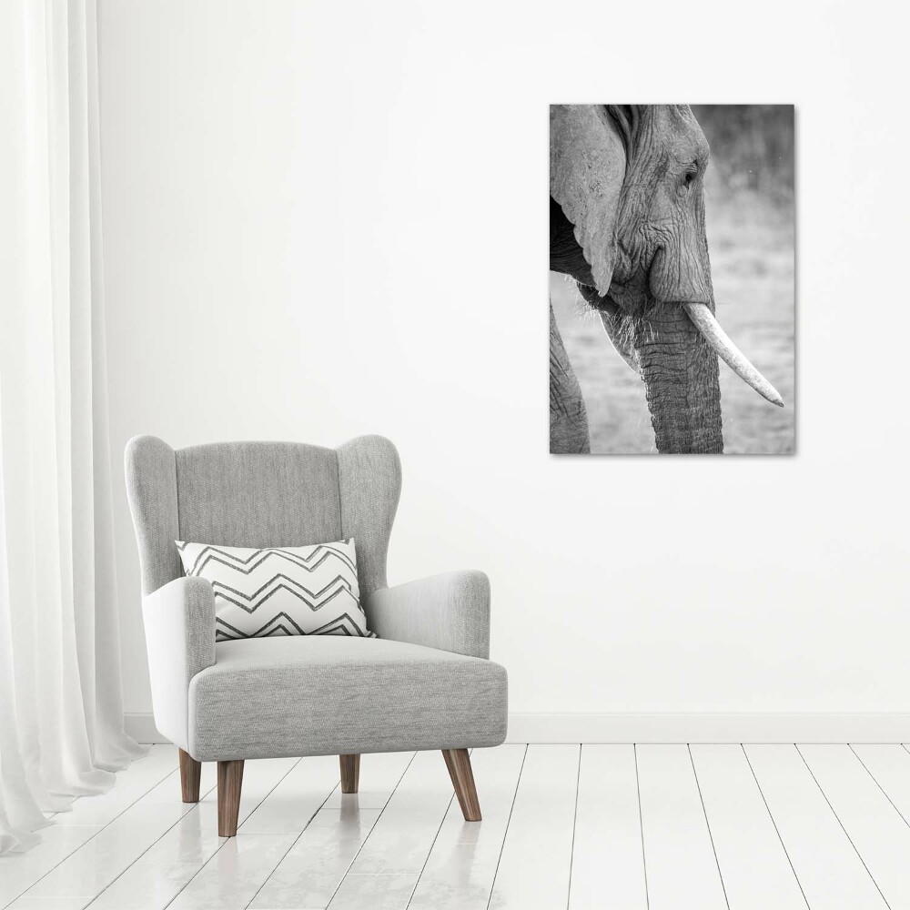 Imprimare tablou canvas elefant