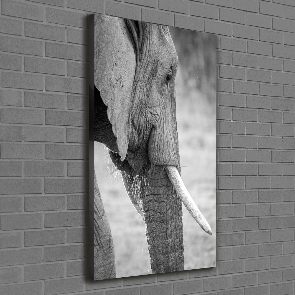 Imprimare tablou canvas elefant