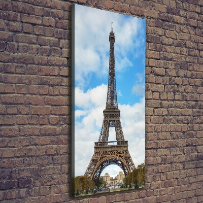 Tablou pe pânză canvas Turnul Eiffel din Paris