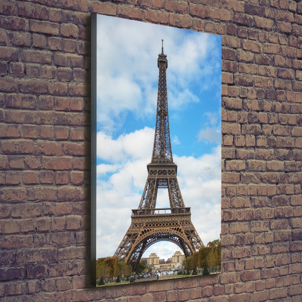 Tablou pe pânză canvas Turnul Eiffel din Paris